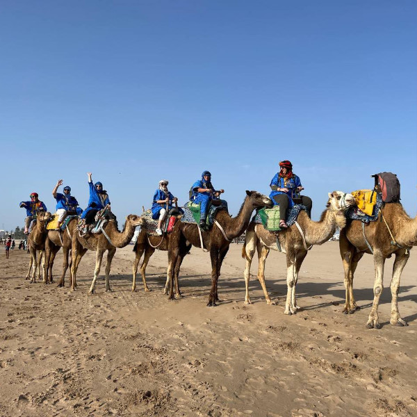 agadir camel rides
