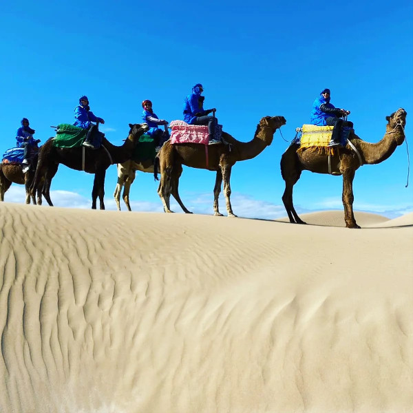 best camel riding agadir